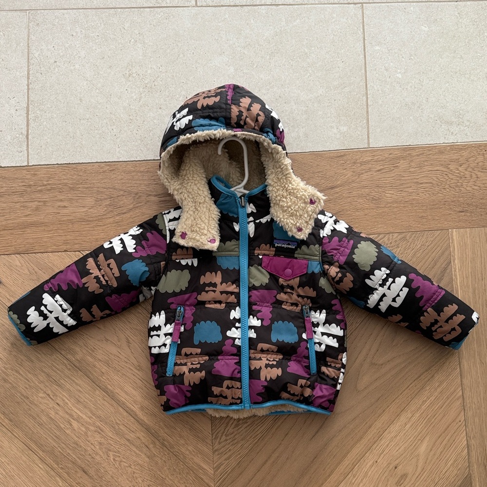 Patagonia Reversible Winter Jacket
